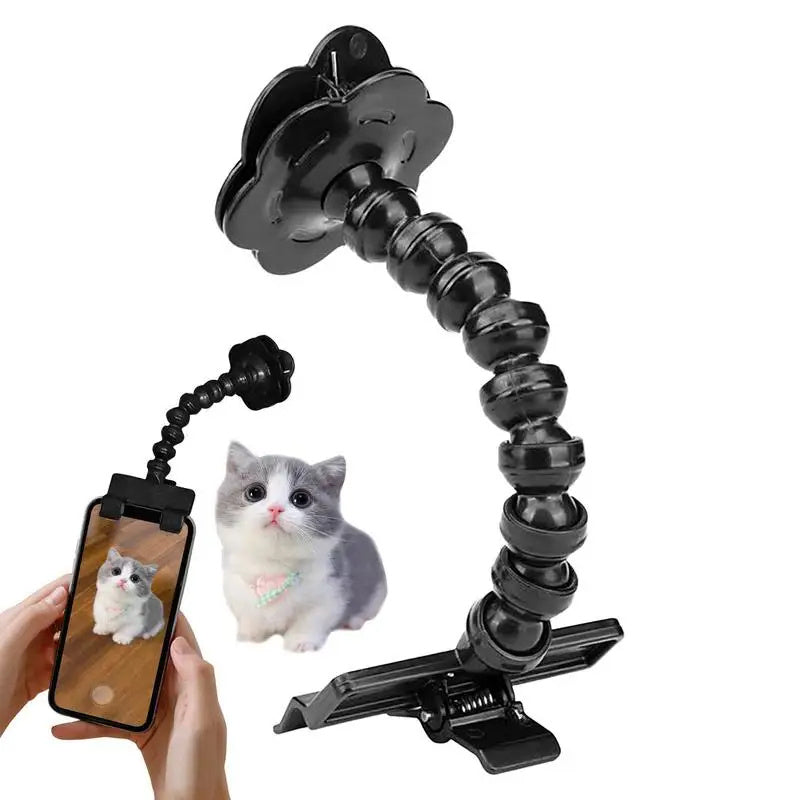 Pet Photography Viewfinder Cat And  Dog And Dog Viewing Lens Camera