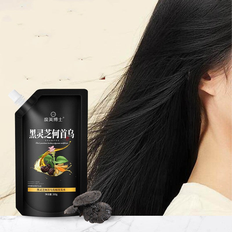 Black Ganoderma Polygonum Multifloruma Hair Root Cleaning Care Shampoo