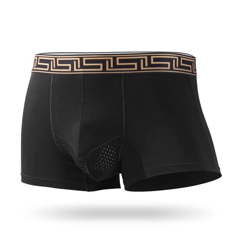 Men's Modal Ice Silk Breathable Mesh Shorts