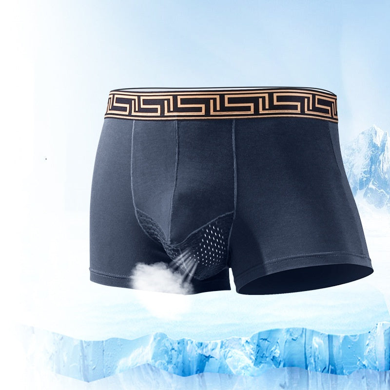 Men's Modal Ice Silk Breathable Mesh Shorts