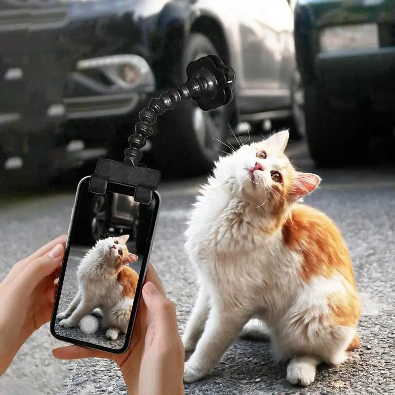 Pet Photography Viewfinder Cat And  Dog And Dog Viewing Lens Camera