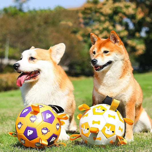 Dog Interactive Football Toys Training Balls For Pet Outdoor Sport