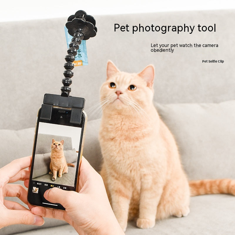 Pet Photography Viewfinder Cat And  Dog And Dog Viewing Lens Camera