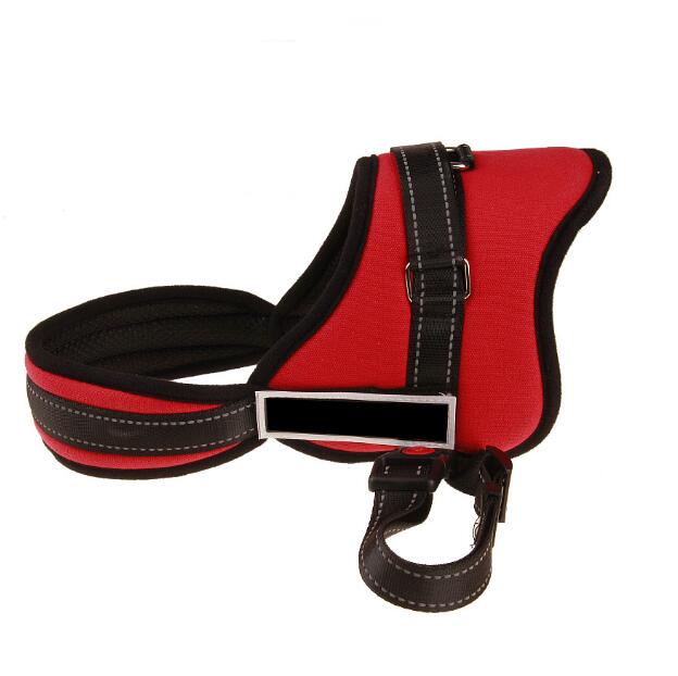 Professional Wide Chest Dog Collar with Nylon Training Tourniquet