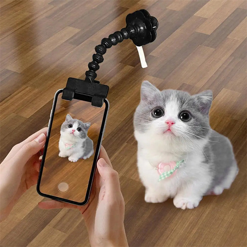 Pet Photography Viewfinder Cat And  Dog And Dog Viewing Lens Camera