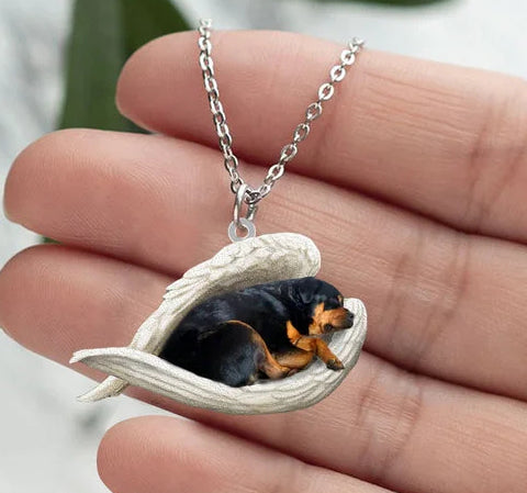 Sleeping Angel Pet Acrylic Flat Gift Box Necklace