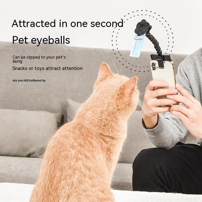 Pet Photography Viewfinder Cat And  Dog And Dog Viewing Lens Camera